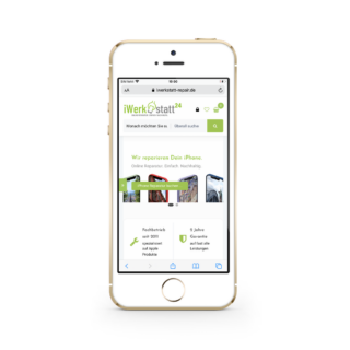 iPhone 5S Reparatur