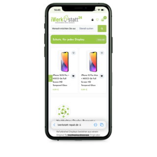 iPhone 11 Pro Max Reparatur