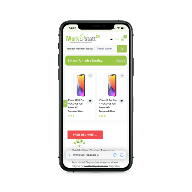 iPhone X Reparatur