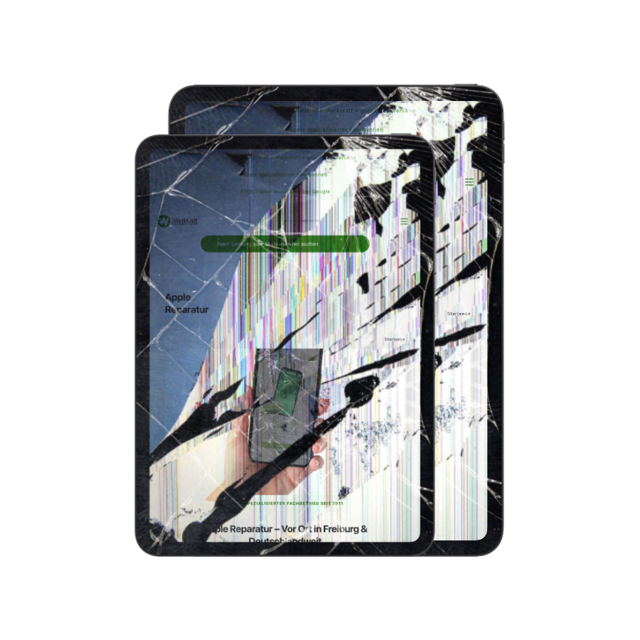 iPad Air Display Reparatur