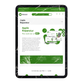 iPad Air 2024 Display Reparatur