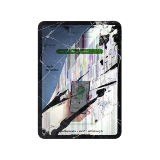 iPad mini Display Reparatur