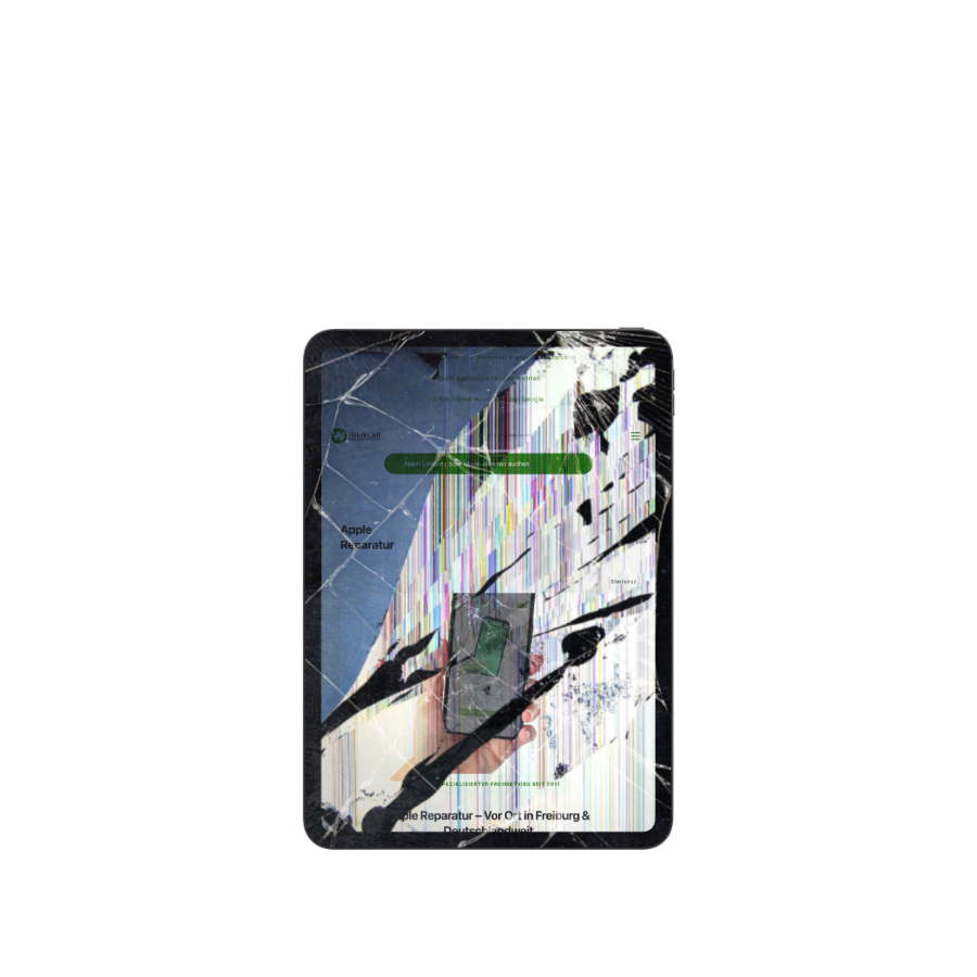 iPad mini Reparatur Freiburg iWerkstatt