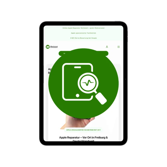 iPad Diagnose & Kostenvoranschlag